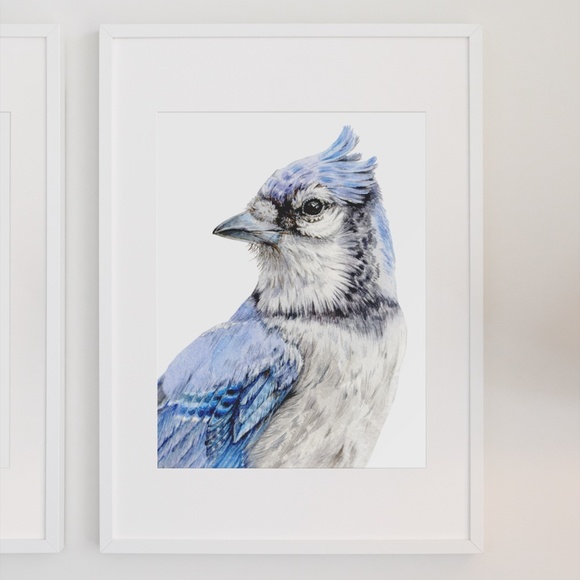 Blue Jay Bird Portrait Wall Art Watercolor Print Poster Unframed - Picture 4 of 9